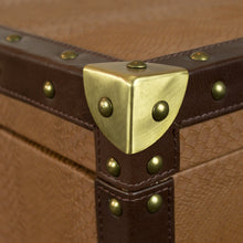 Load image into Gallery viewer, Streamer Trunk Coffee Table