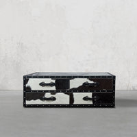 Vintage Streamer Trunk Coffee Table in Hair-on with Glass Top