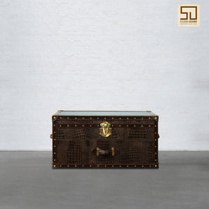 Mini Trunk Coffee Table in Espresso Brown Leather