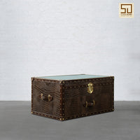 Mini Trunk Coffee Table in Espresso Brown Leather