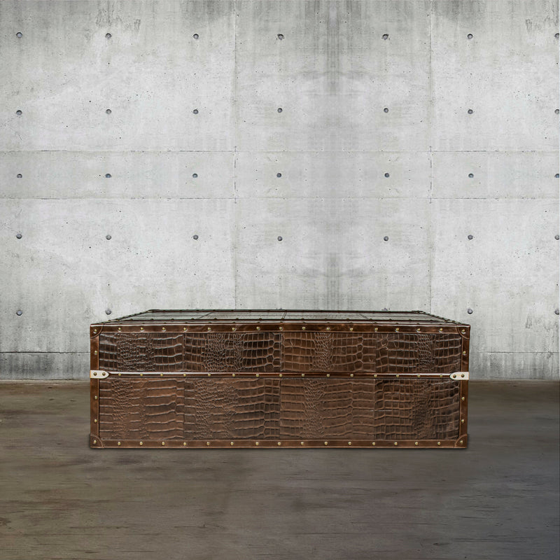 Streamer Trunk Coffee Table - Vintage Brown