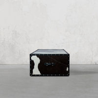 Vintage Streamer Trunk Coffee Table in Hair-on with Glass Top