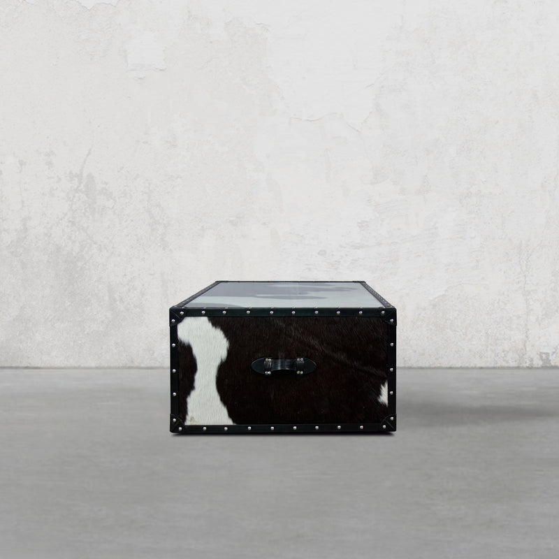 Vintage Streamer Trunk Coffee Table in Hair-on with Glass Top