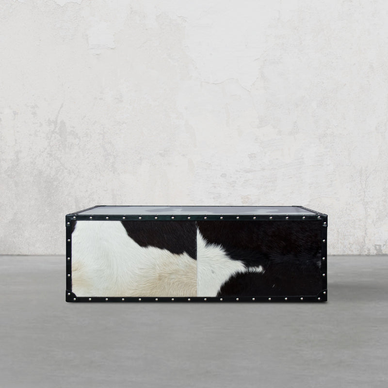 Vintage Streamer Trunk Coffee Table in Hair-on with Glass Top
