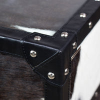 Vintage Streamer Trunk Coffee Table in Hair-on with Glass Top