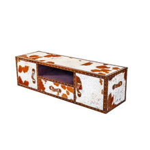 Load image into Gallery viewer, Hair-on Streamer Trunk Plasma TV Console
