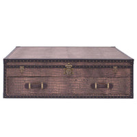 Vintage Streamer Trunk Coffee Table