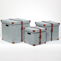 Mini Trunk (Set of three)